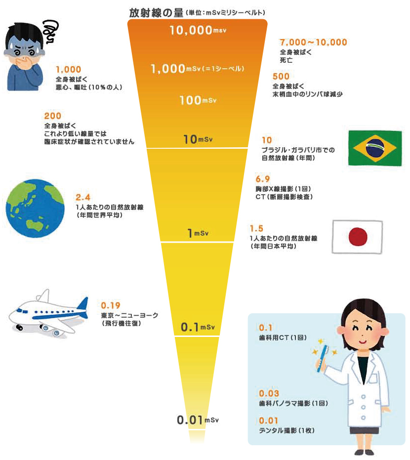 放射線の被ばく量について